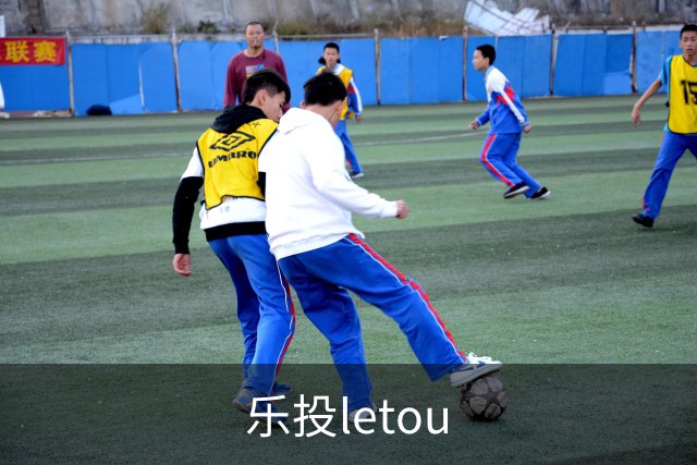 乐投letou公司简介图片